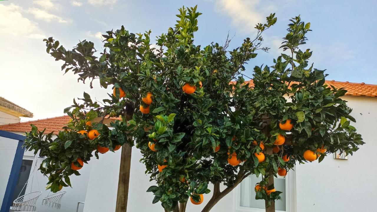 Perto Do Mar, Alojamento Local Gafanha da Boa Hora Zewnętrze zdjęcie
